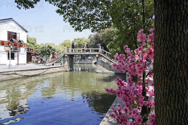 Excursion to Zhujiajiao Water Village, Shanghai, China, Asia, A quiet canal with a bridge, surrounded by trees and blooming flowers, Asia