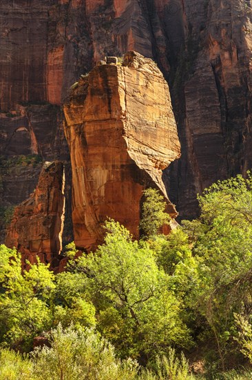 Rock needle at the Temple of Sinawava, Zion National Park, Colorado Plateau, Utah, USA, Zion National Park, Utah, USA, North America