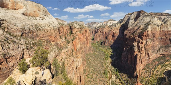 View of Zion Canyon from Angels Landing, Zion National Park, Colorado Plateau, Utah, USA, Zion National Park, Utah, USA, North America