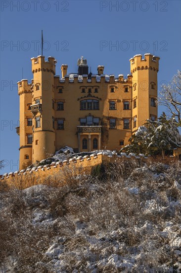 Neuschwanstein Castle, Schwangau near Fuessen, Allgaeu, Bavaria, Germany, Fuessen, Bavaria, Germany, Europe