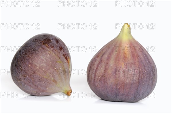 Real fig or fig tree (Ficus carica), ripe figs against a white background