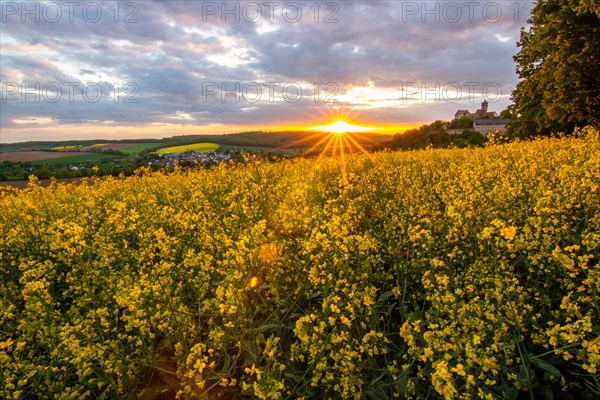 Landscape at sunrise. Beautiful morning landscape with fresh yellow rape fields in spring. Small castle in the yellow fields on a hill. Historic Ronneburg Castle in the middle of nature, Ronneburg, Hesse, Germany, Europe