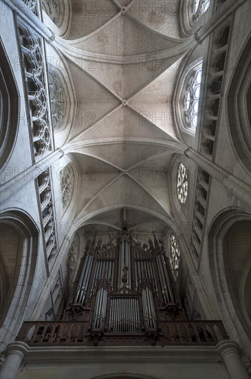 Organ from the 18th century, Cathedral Notre Dame de l'Assomption, Lucon, Vendee, France, Europe