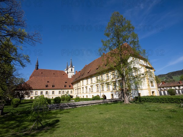 Goess Abbey, collegiate church, former convent of the Benedictine nuns, Leoben, Styria, Austria, Europe