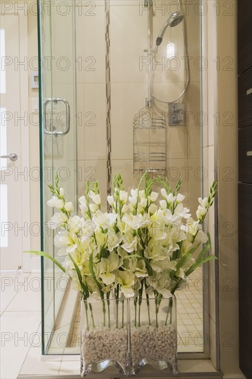 Silk flowers in front of clear glass shower stall in bathroom inside a renovated ground floor apartment in an old residential cottage style home, Quebec, Canada, North America