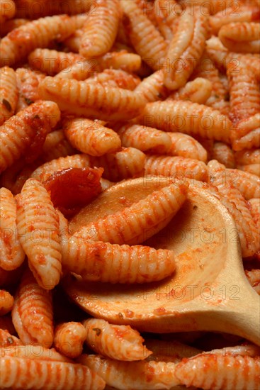 Malloreddus, Sardinian gnocchetti with tomato sauce, traditional type of pasta from Sardinia, Italy, Europe