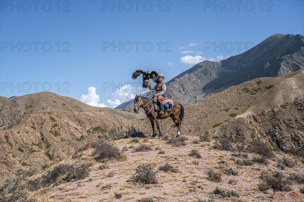 Traditional Kyrgyz eagle hunter riding with eagle in the mountains, eagle spreading its wings, hunting on horseback, near Bokonbayevo, Issyk Kul region, Kyrgyzstan, Asia