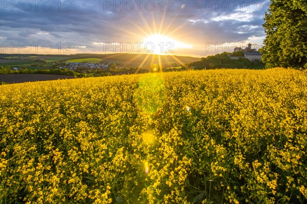 Landscape at sunrise. Beautiful morning landscape with fresh yellow rape fields in spring. Small castle in the yellow fields on a hill. Historic Ronneburg Castle in the middle of nature, Ronneburg, Hesse, Germany, Europe