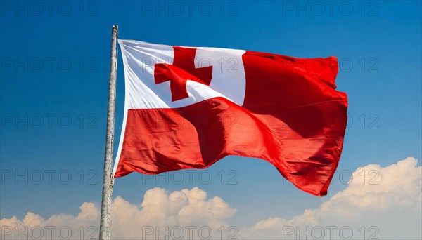 The flag of Tonga, fluttering in the wind, isolated, against the blue sky