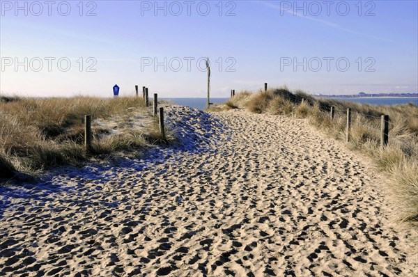 Beach path at Ellenbogen near List, Sylt, North Frisian Island, Schleswig Holstein, A sandy path through dunes leads to the beach under a blue sky, Sylt, North Frisian Island, Schleswig-Holstein, Germany, Europe
