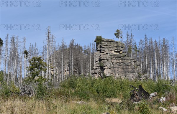 The Feuersteinklippe, rock formation in the Harz Mountains near Schierke, Saxony-Anhalt, Germany, Europe