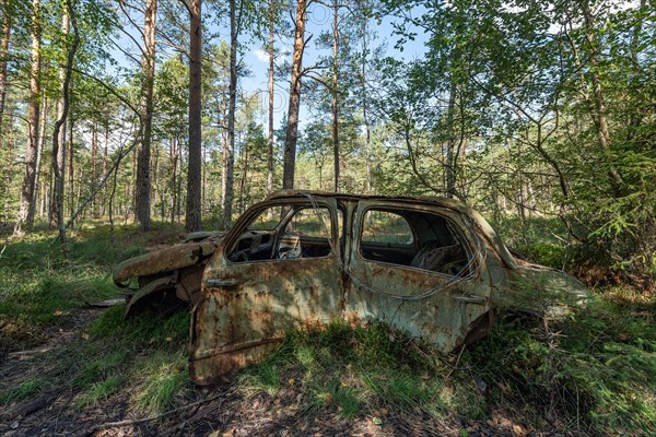 Ancient scrap car, Kyrkoe Mosse car graveyard, Ryd, Tingsryd, Kronobergs laen, Sweden, Europe