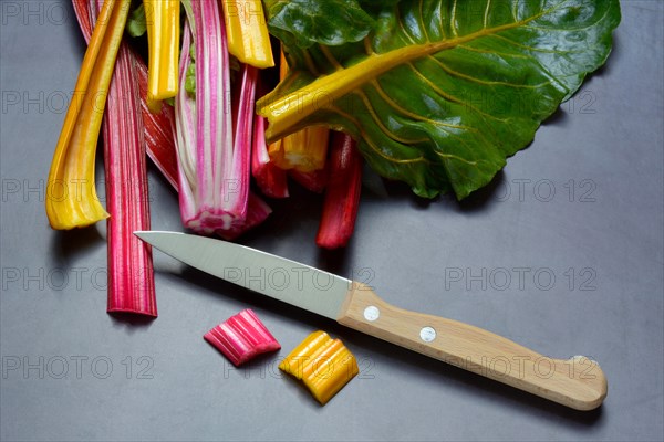 Red and yellow chard, kitchen knife and chopped stems, Beta vulgaris