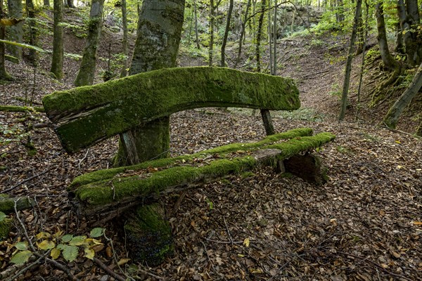 Weathered, rotten and mossy bench made of rough wooden planks, autumn leaves, beech forest, Raumertswald, volcano, Vogelsberg Volcano Region nature park Park, rest area, Nidda, Wetterau, Hesse, Germany, Europe