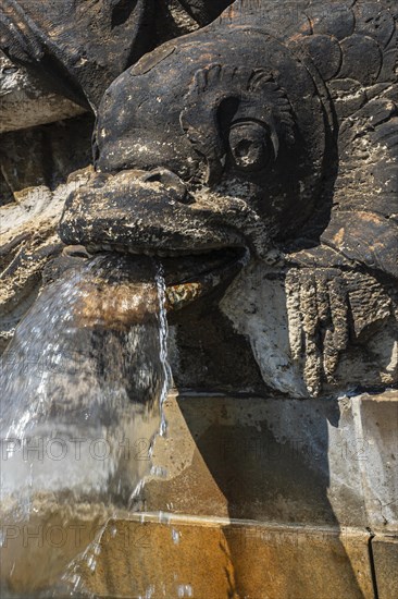 Western Nymph Fountain on the Neustaedter Markt in Dresden, Saxony, Germany, Europe