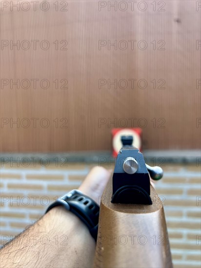 Point of view of a person aiming a carbine at a target