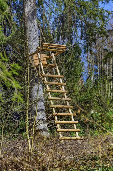 High seat, hunter's seat, Kemptner Wald, Allgaeu, Swabia, Bavaria, Germany, Europe