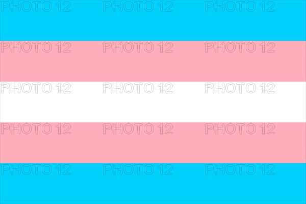 Illustration of the Transgender Pride Flag. Symbol of sexual minorities