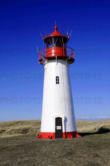 Sylt, Schleswig-Holstein, Lighthouse at Ellenbogen, Sylt, North Frisian Island, A white-red lighthouse stands under a clear blue sky on a grassy area, Sylt, North Frisian Island, Schleswig-Holstein, Germany, Europe
