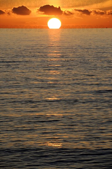 Beach 5 km south of Westerland, Sylt, North Frisian Island, Schleswig Holstein, Sunset with the sun approaching the horizon and reflecting in the calm sea, Sylt, North Frisian Island, Schleswig Holstein, Germany, Europe