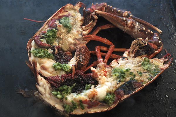 Stuffed lobster (homarus) with kabviar is grilled on a plancha, Atlantic coast, Vandee, France, Europe