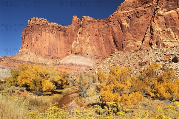 Waterpocket Fold rock formations, Capitol Reef National Park, Utah, USA, Capitol Reef National Park, Utah, USA, North America