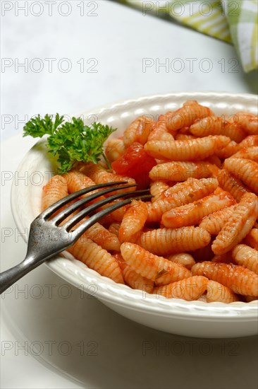 Malloreddus, Sardinian gnocchetti with tomato sauce in a plate, traditional pasta variety from Sardinia, Italy, Europe