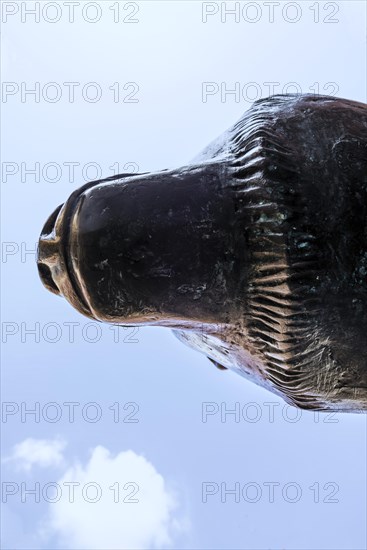 Bear statue, bronze sculpture on Boersenplatz, Frankfurt, Hesse, Germany, Europe