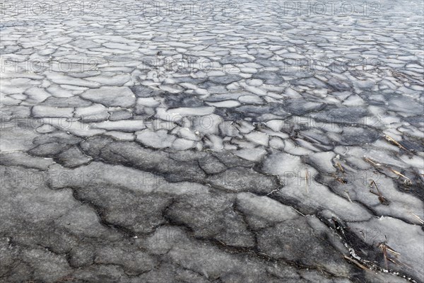 Winter, ice pattern formation, Chateauguay River, Province of Quebec, Canada, North America