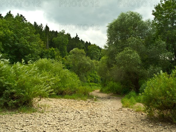 Danube seepage near Immendingen, Tuttlingen district, Baden-Wuerttemberg, Germany, Europe