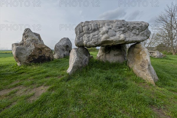 Luebbensteine, two megalithic tombs from the Neolithic period around 3500 BC on the Annenberg near Helmstedt, here the southern grave A (Sprockhoff no. 316), Helmstedt, Lower Saxony, Germany, Europe