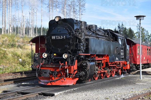 The Harz Narrow Gauge Railway, Brocken Railway, Selketal Railway in the Harz Mountains, Saxony-Anhalt, Germany, Europe