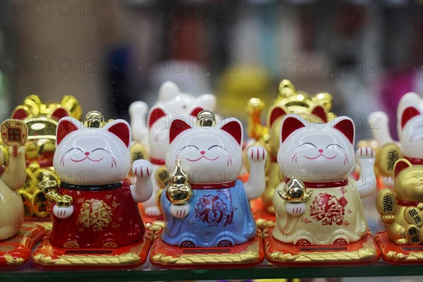 Strolling through the restored Tianzifang neighbourhood, A collection of golden waving cats, which are considered lucky charms, on a shelf, Shanghai, China, Asia