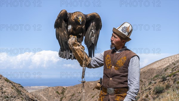 Traditional Kyrgyz eagle hunter with eagle in the mountains, hunting, eagle spreads its wings, near Bokonbayevo, Issyk Kul region, Kyrgyzstan, Asia