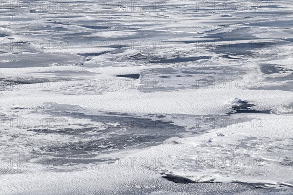 Winter, pack ice in the Saint Lawrence River, Province of Quebec, Canada, North America