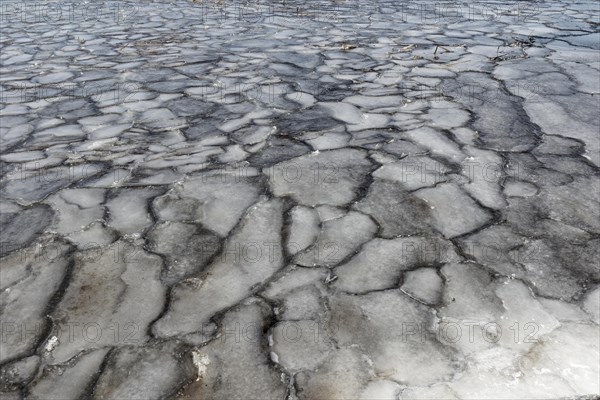 Winter, ice pattern formation, Chateauguay River, Province of Quebec, Canada, North America