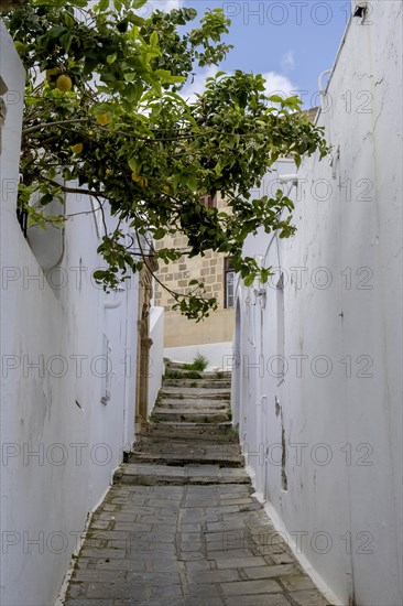 Old town alley in Lindos, Rhodes, Dodecanese archipelago, Greek islands, Greece, Europe