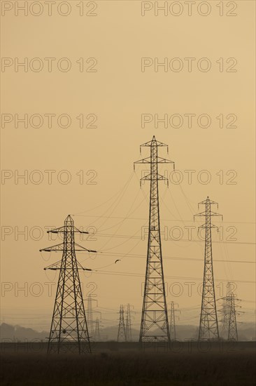 Electricity pylons at sunset, England, United Kingdom, Europe