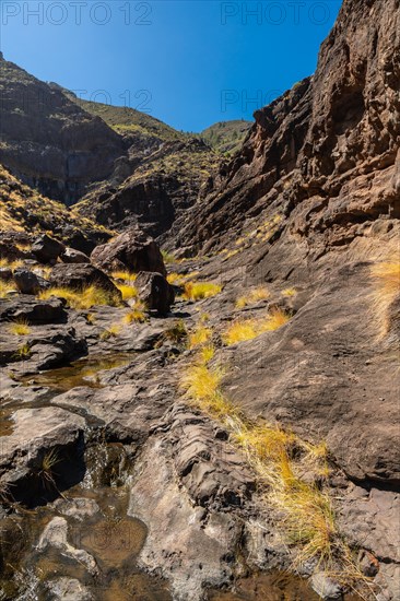 Beautiful river on the way up to Charco Azul in the Podemos to Agaete in Gran Canaria, Canary Islands