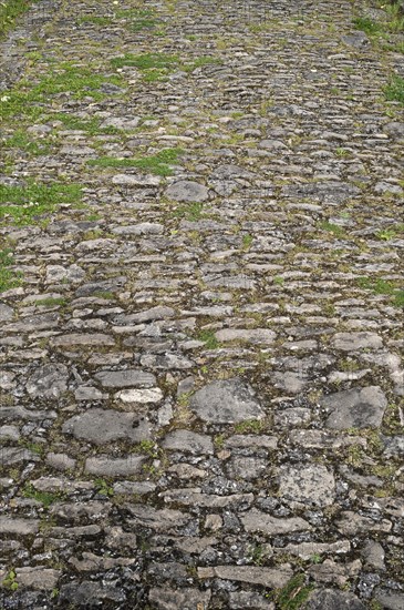 Old, cobbled stone path to the former Cistercian monastery of Pontigny, Pontigny, Bourgogne, France, Europe