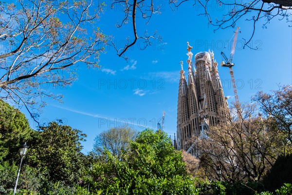 Towers of the Sagrada Familia basilica under construction, Roman Catholic basilica by Antoni Gaudi in Barcelona, Spain, Europe