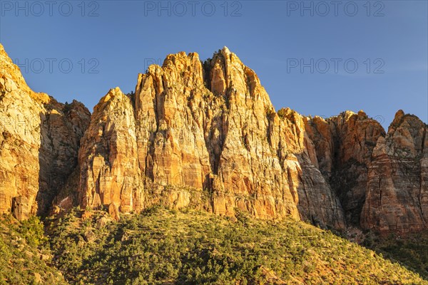 Watchman Mountain, Zion National Park, Colorado Plateau, Utah, USA, Zion National Park, Utah, USA, North America