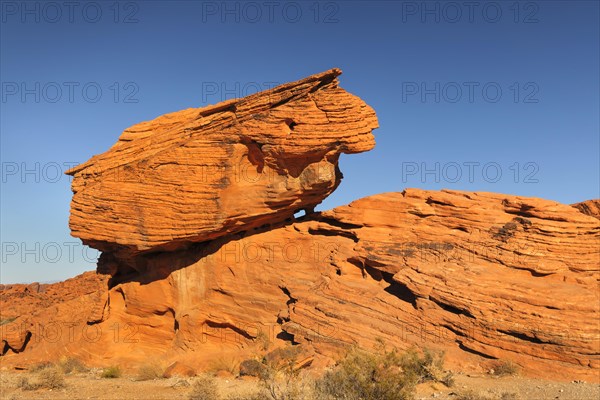 Bienenstoecke, Valley of Fire State Park, Nevada, USA, Valley of Fire, Nevada, USA, North America