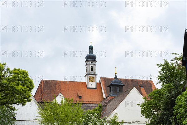 Baroque hall church of St Maria, monastery church of the former Imperial Charterhouse Buxheim, Unterallgaeu district, Upper Swabia, Bavaria, Germany, Europe