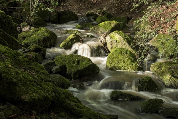 Mountain stream in the forest with mossy basalt rocks, blocks of basalt in the stream bed, Tertiary volcano, flowing water, motion blur, Krummbach, Vogelsberg Volcanic Region nature park Park, Nidda, Wetterau, Hesse, Germany, Europe