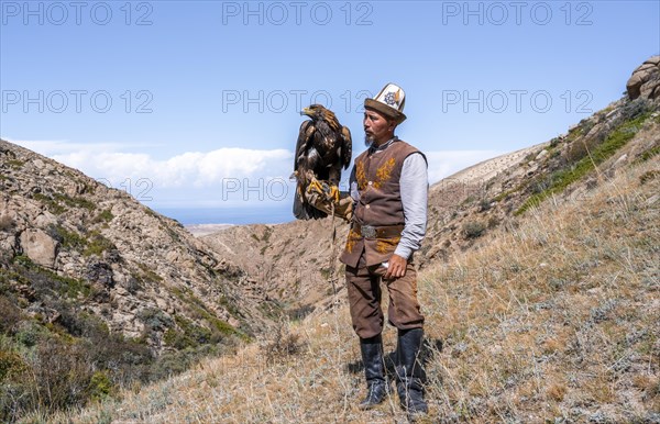 Traditional Kyrgyz eagle hunter with eagle in the mountains, hunting, near Bokonbayevo, Issyk Kul region, Kyrgyzstan, Asia