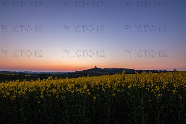 Landscape at sunrise. Beautiful morning landscape with fresh yellow rape fields in spring. Small castle in the yellow fields on a hill. Historic Ronneburg Castle in the middle of nature, Ronneburg, Hesse, Germany, Europe