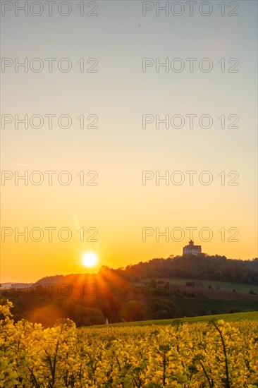 Landscape at sunrise. Beautiful morning landscape with fresh yellow rape fields in spring. Small castle in the yellow fields on a hill. Historic Ronneburg Castle in the middle of nature, Ronneburg, Hesse, Germany, Europe