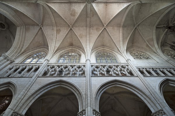 13th century nave, Notre Dame de l'Assomption Cathedral, Lucon, Vendee, France, Europe