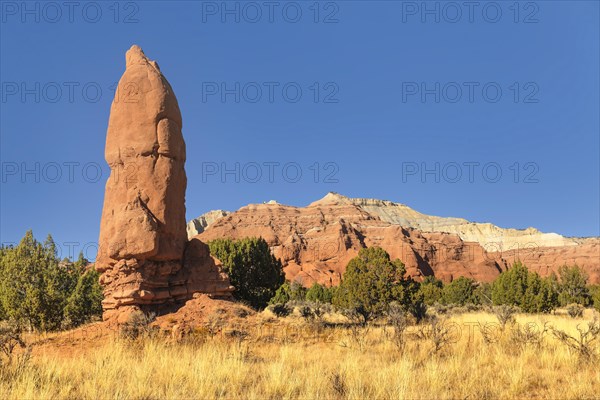 Kodachrome Basin State Park, Utah, United States, USA, Kodachrome Basin State Park, Utah, USA, North America